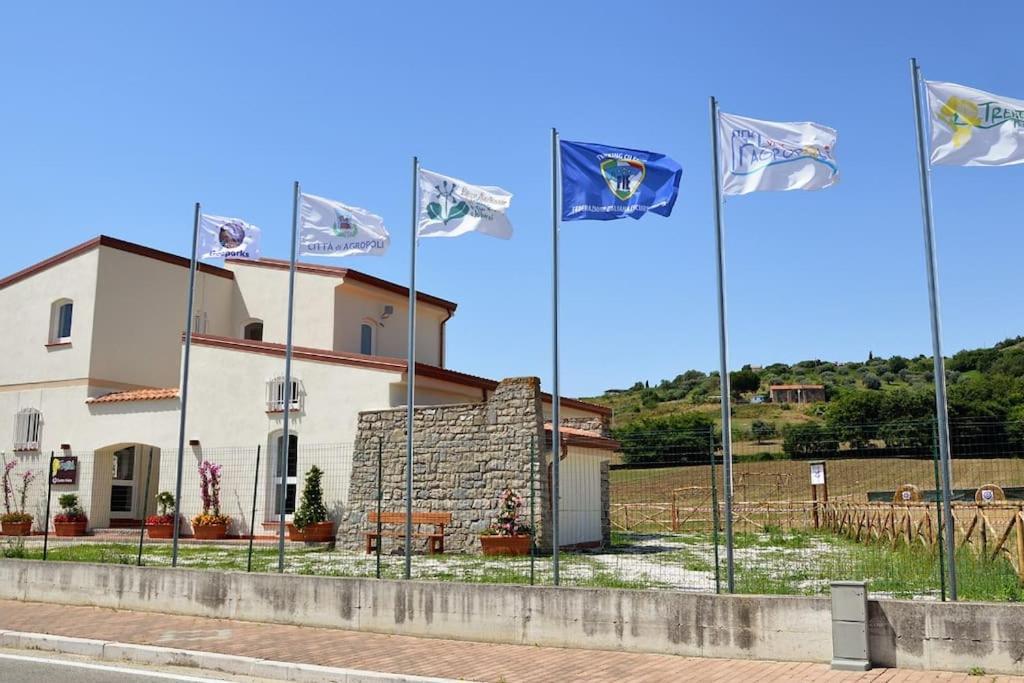 La Conchiglia Di Trentova Leilighet Agropoli Eksteriør bilde